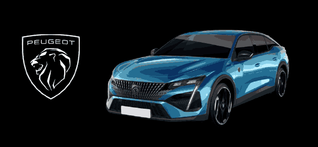 sv repuestos citroen peugeot