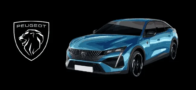 sv repuestos citroen peugeot