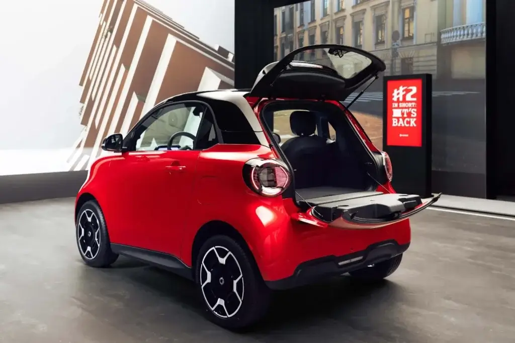 smart 2 porton trasero dividido
